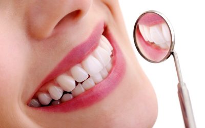 Smile Like a Molar Bear: Top Tips for Healthy Teeth All Year Round